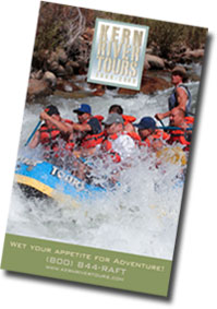 Online Catalog